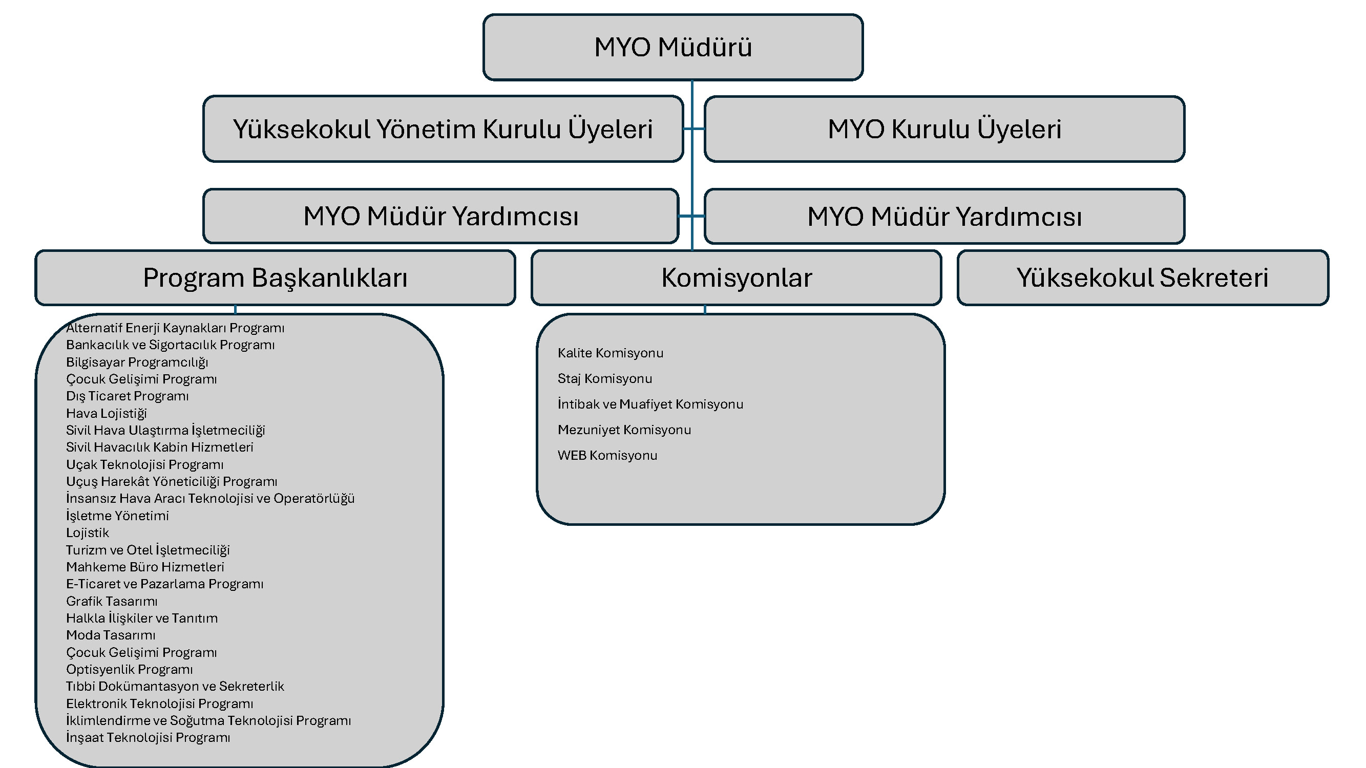 Organizasyon Şeması