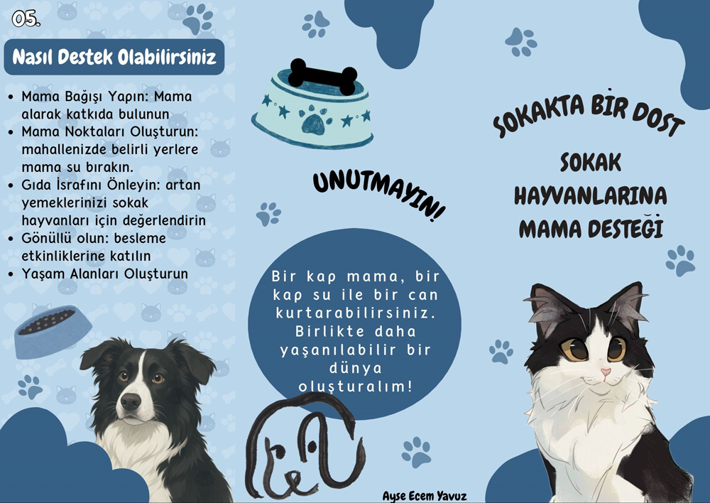 “Sokakta Bir Dost” Sosyal Sorumluluk Projesi 