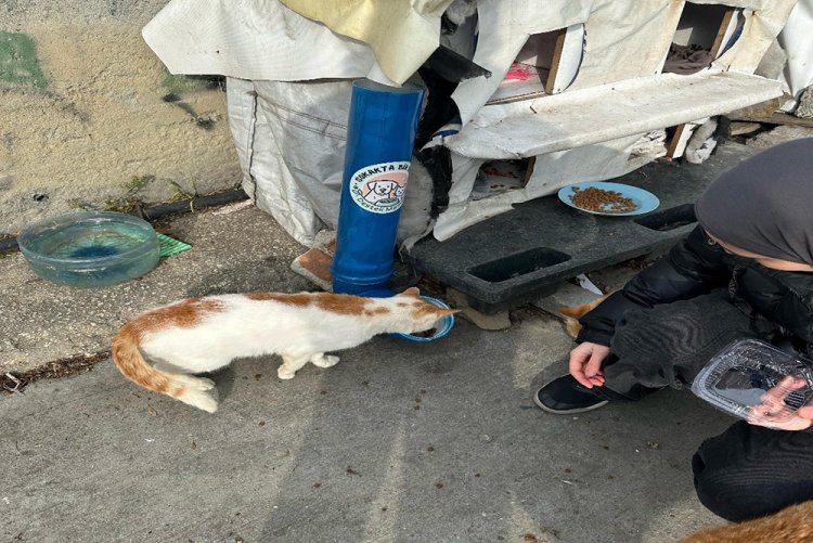 “Sokakta Bir Dost” Sosyal Sorumluluk Projesi 