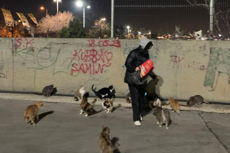 “Sokakta Bir Dost” Sosyal Sorumluluk Projesi 