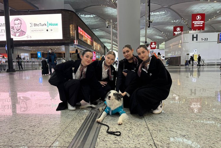 İKÜ Havacılık Programlarından TGS’ye Güçlü Adım: Öğrencilerimiz 2025–2026 Bahar Dönemi Stajlarına Başladı